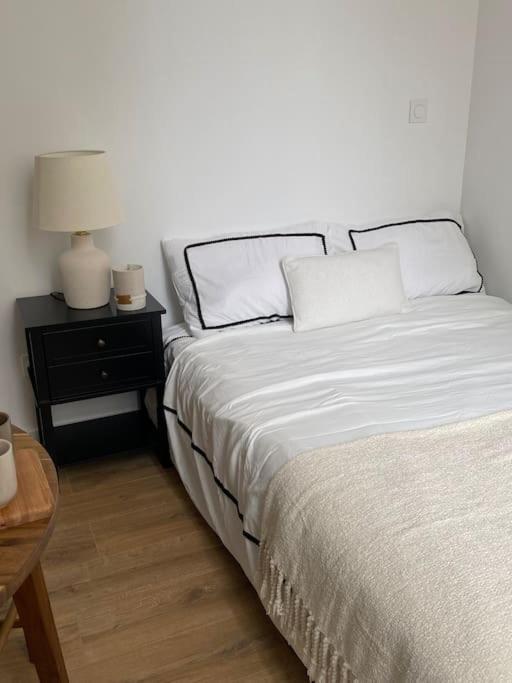 Appartement Plein Centre リヨン エクステリア 写真